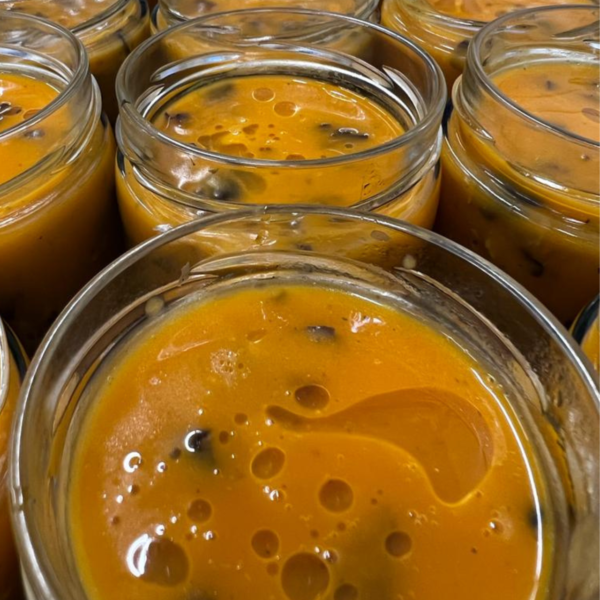 Sauce potiron, champignons & châtaignes bio