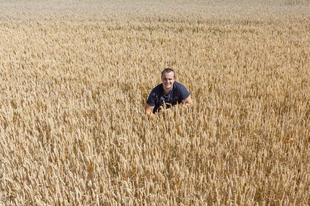 Alexandre Lyon dans son champ de blé