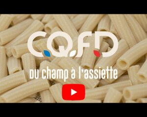 Vidéo C.Q.F.D.